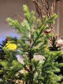 ÁRVORE PINHEIRO SUPER REALISTA DIAMOND 439 GALHOS 1,80CM