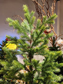 ÁRVORE PINHEIRO SUPER REALISTA DIAMOND 579 GALHOS 2,10CM