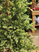 ÁRVORE PINHEIRO SUPER REALISTA DIAMOND 1.029 GALHOS 2,40CM