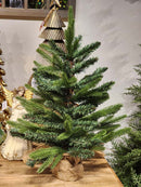 ÁRVORE PINHEIRO REALISTA 60CM