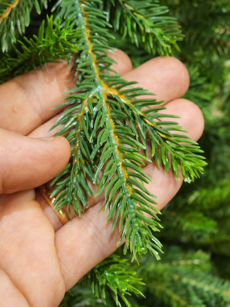 ÁRVORE SLIM REALISTA 810 GALHOS 2,10CM